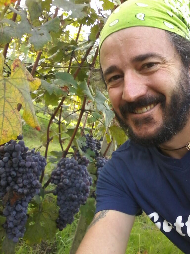viticolture Gattinara